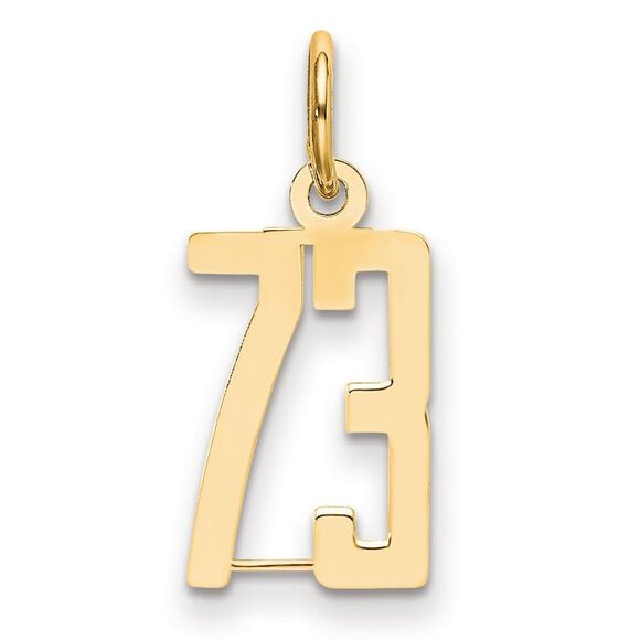 14k Yellow Gold Small Elongated Number 73 Charm